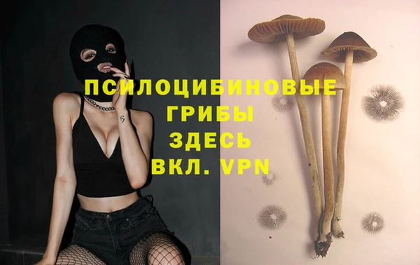 крисы Балабаново