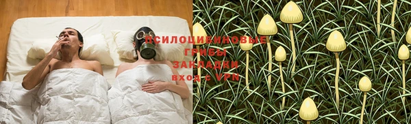 СК Балахна