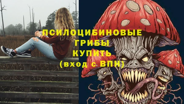 СК Балахна