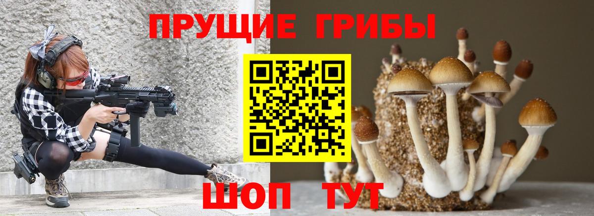 Галлюциногенные грибы Psilocybine cubensis Белово
